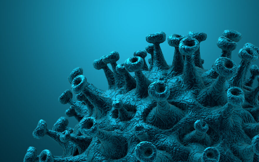 Post-licensure COVID-19 vaccine monitoring in Europe: challenges and solutions