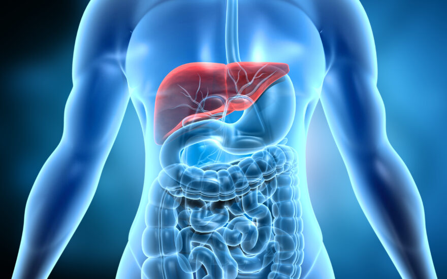 Webinar – Getting GRIP on MASH after LITMUS