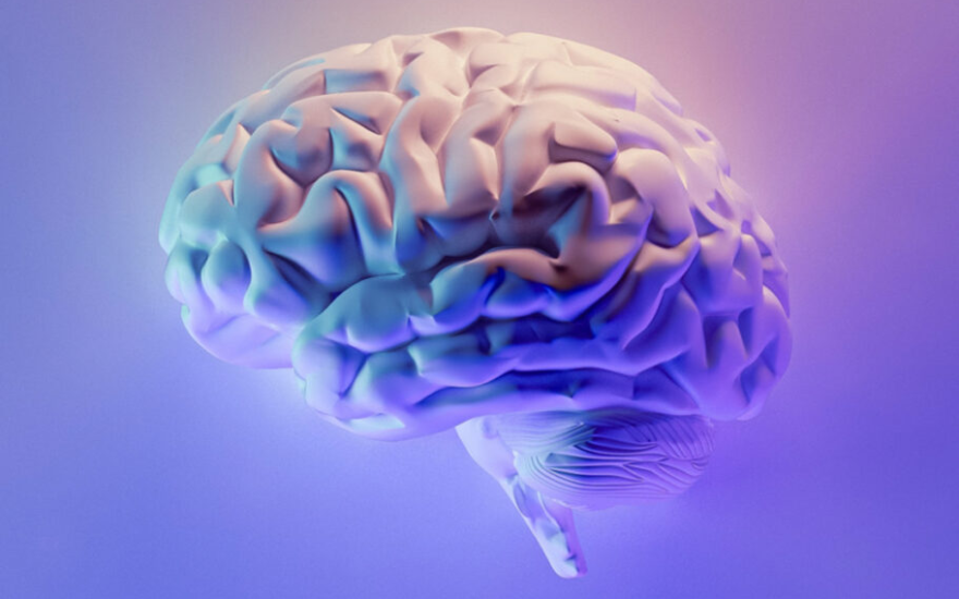 Webinar – The role of EEG in dementia trials